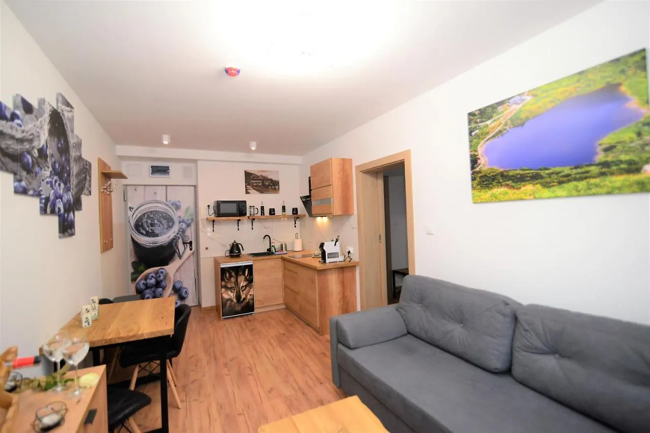 Apartament De Luxe Emily Karpacz